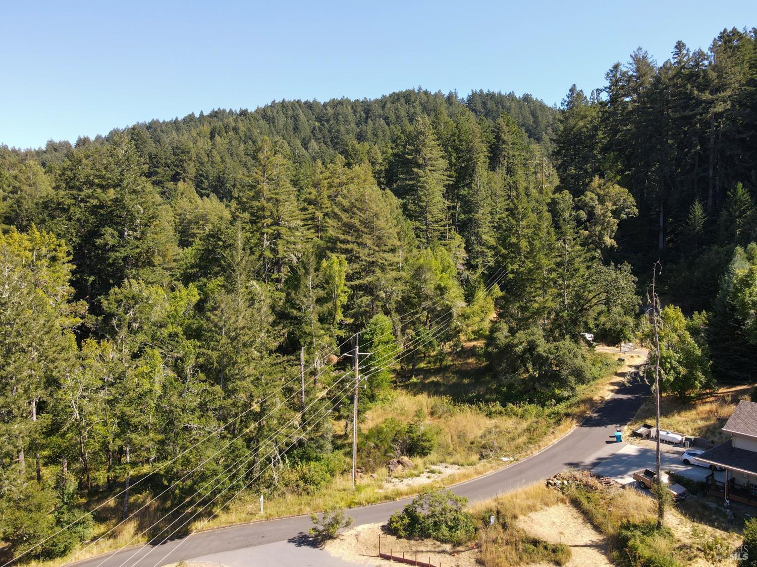 1 Meadow View Lane San Geronimo, CA 94963 - Photo 16 of 17 a view of a forest with a tree