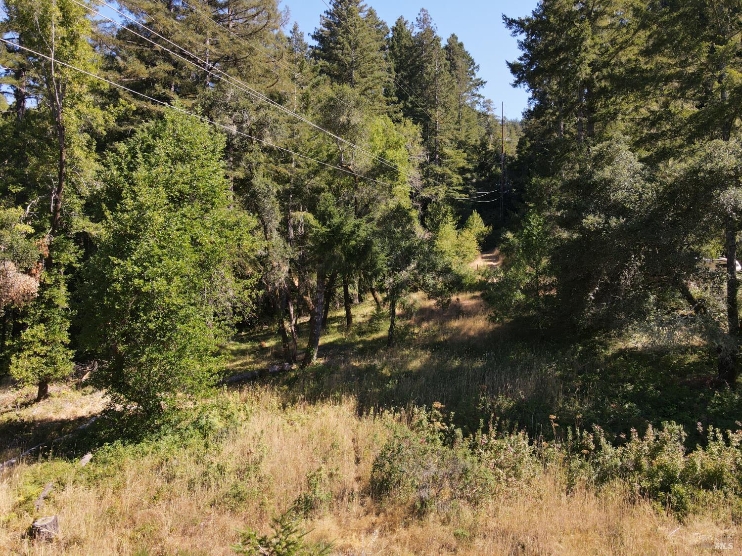 1 Meadow View Lane San Geronimo, CA 94963 - Photo 17 of 17 a view of lake from yard