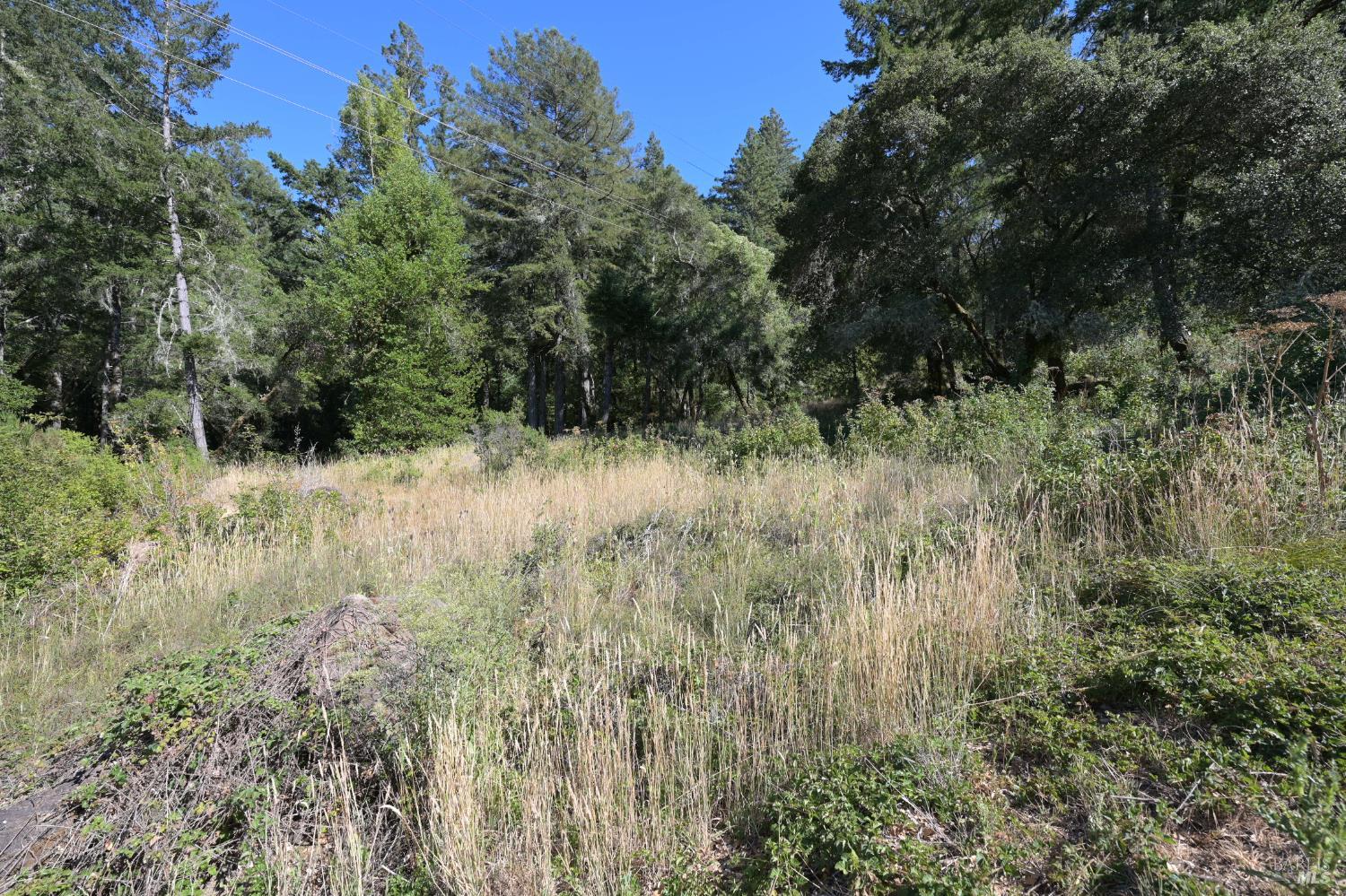 1 Meadow View Lane San Geronimo, CA 94963 - Photo 2 of 17 a view of a yard