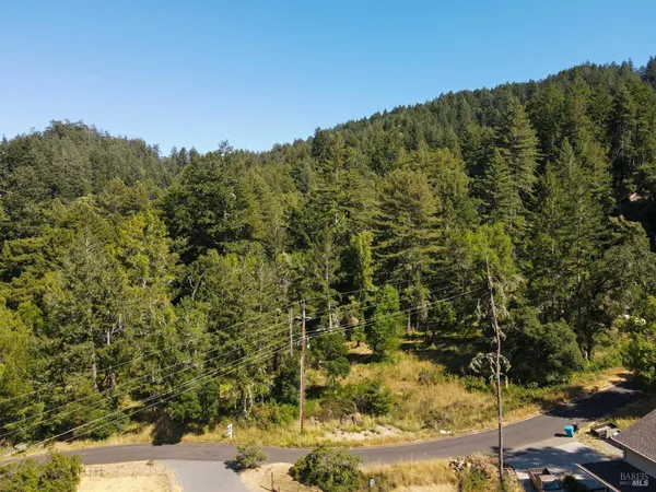 a view of a bunch of trees