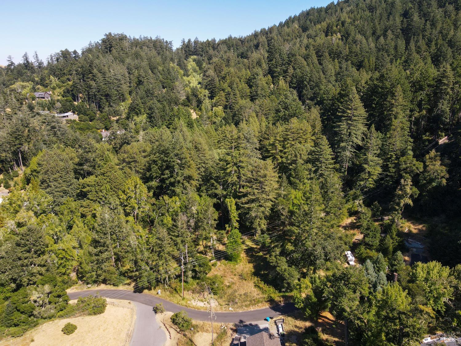 1 Meadow View Lane San Geronimo, CA 94963 - Photo 4 of 17 a view of a yard with plants and large trees