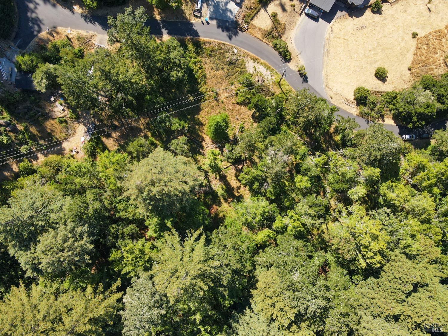 1 Meadow View Lane San Geronimo, CA 94963 - Photo 5 of 17 a view of a garden