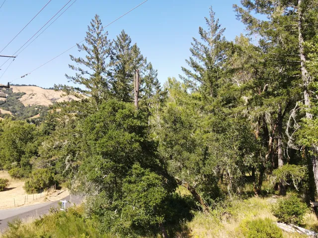 a view of a yard with a tree