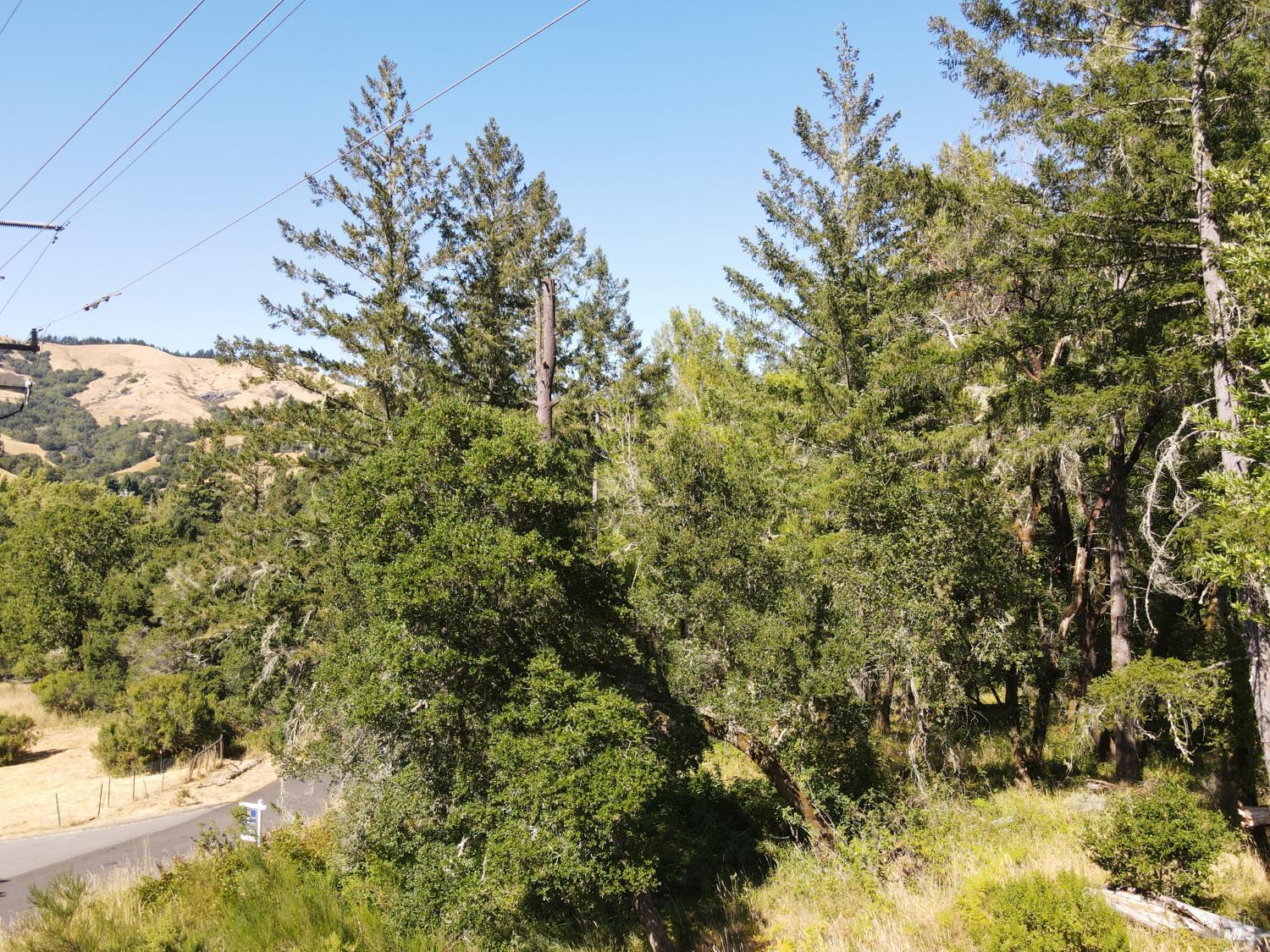 1 Meadow View Lane San Geronimo, CA 94963 - Photo 8 of 17 a view of a yard with a tree