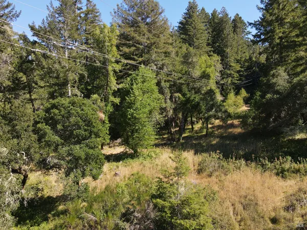 a backyard of a house with a yard and lake view