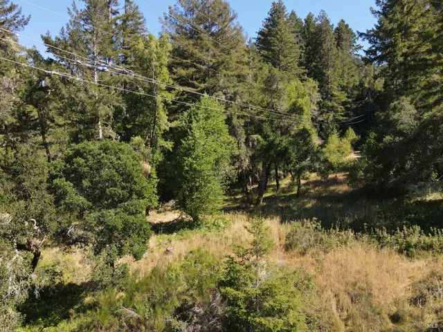 a backyard of a house with a yard and lake view