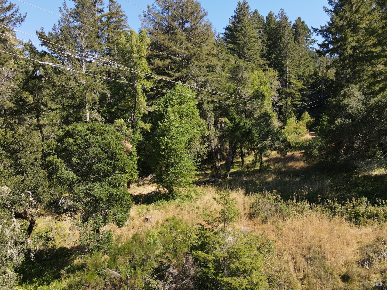 1 Meadow View Lane San Geronimo, CA 94963 - Photo 10 of 17 a backyard of a house with a yard and lake view