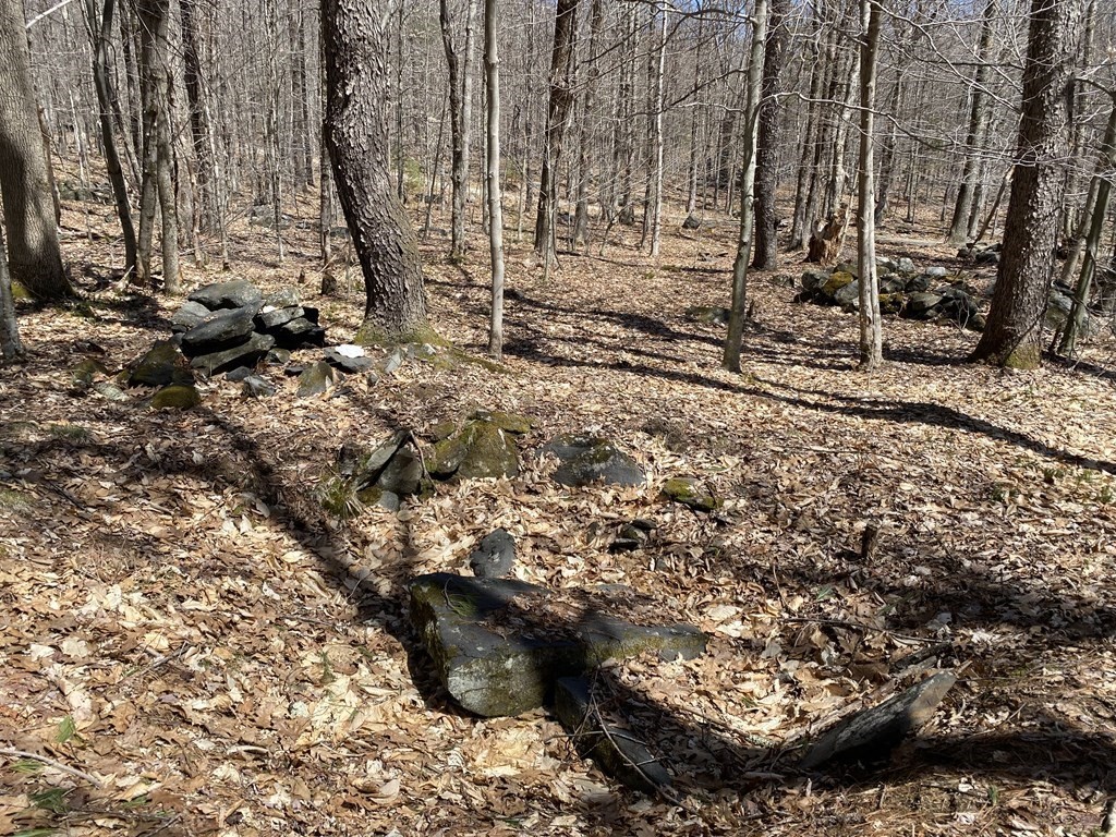 0 Bug Hill Road Ashfield, MA 01330 - Photo 11 of 16 Gallery Image 11