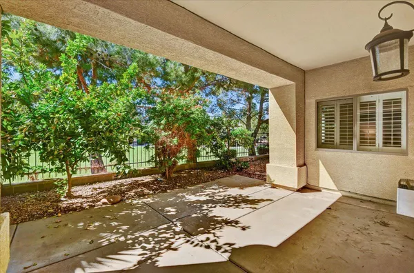 a view of a backyard with a large tree