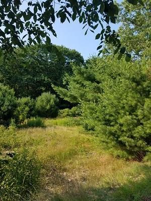38 Pine Hill Road Cape Neddick, ME 03902 - Photo 1 of 4 Photo