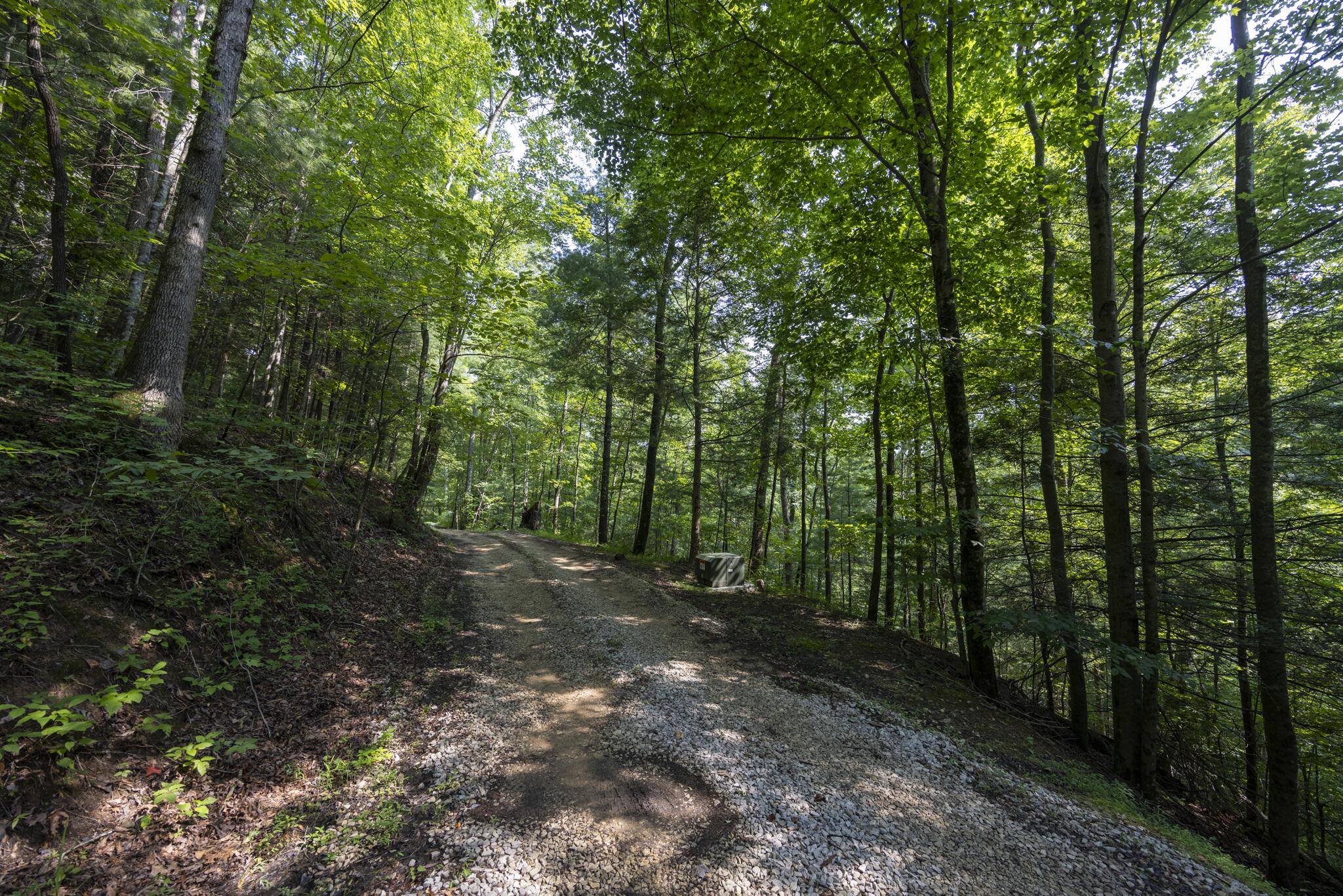 Lot 2 Cave Hollow Road Zoe, KY 41397 - Photo 10 of 29 Appalachian Media-10
