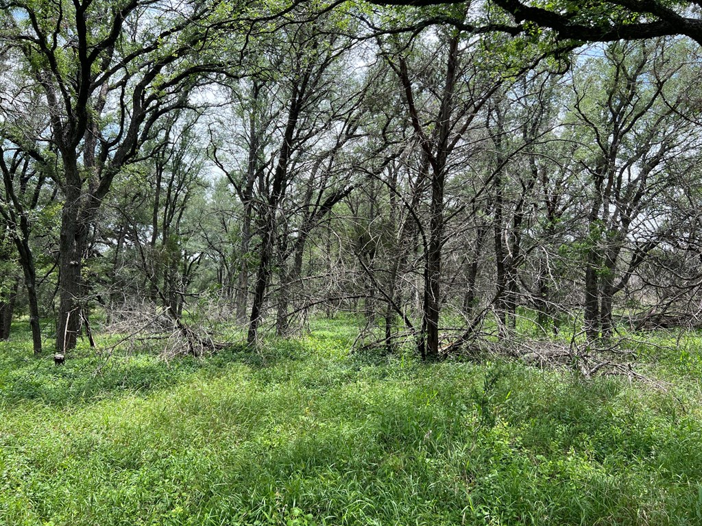 Tbd Narrows Road, Unit 19PT Blanco, TX 78606 - Photo 4 of 8
