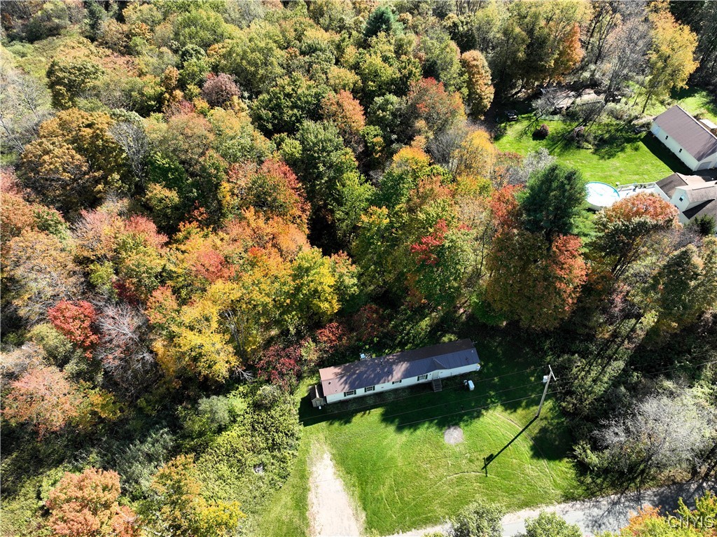 11762 Hayes Road Camden, NY 13316 - Photo 3 of 19