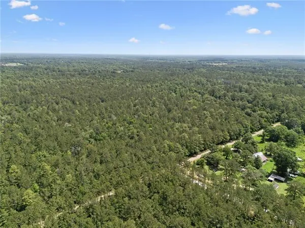 $154,220 | 1 7.01 Acres) Bruhl Road, Folsom, LA 70437