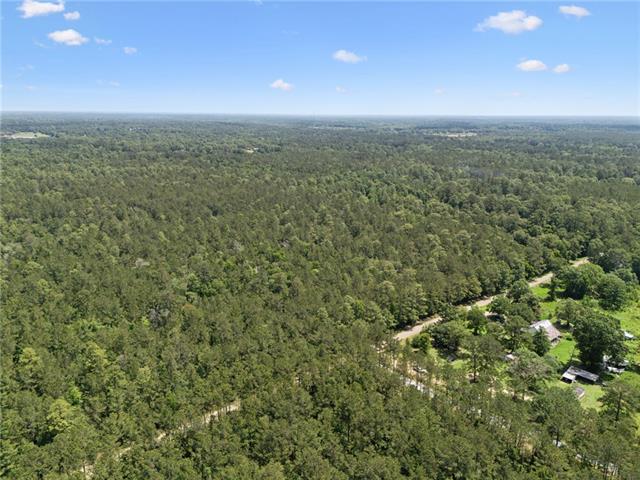 1 7.01 Acres) Bruhl Road Folsom, LA 70437 - Photo 12 of 12