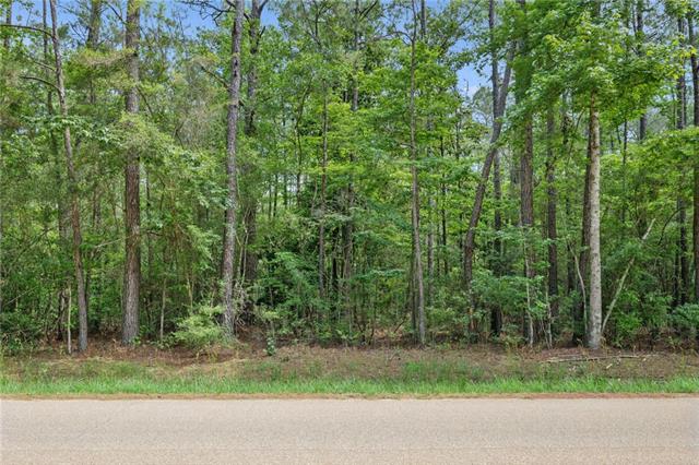 1 7.01 Acres) Bruhl Road Folsom, LA 70437 - Photo 4 of 12