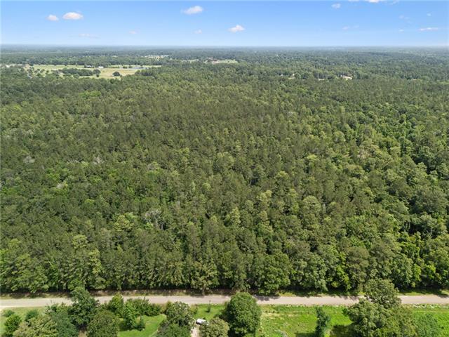 1 7.01 Acres) Bruhl Road Folsom, LA 70437 - Photo 5 of 12