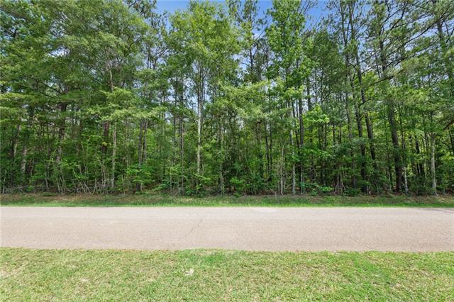 1 7.01 Acres) Bruhl Road Folsom, LA 70437 - Photo 7 of 12