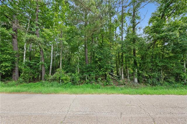 1 7.01 Acres) Bruhl Road Folsom, LA 70437 - Photo 8 of 12