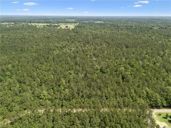 $154,220 | 1 7.01 Acres) Bruhl Road, Folsom, LA 70437