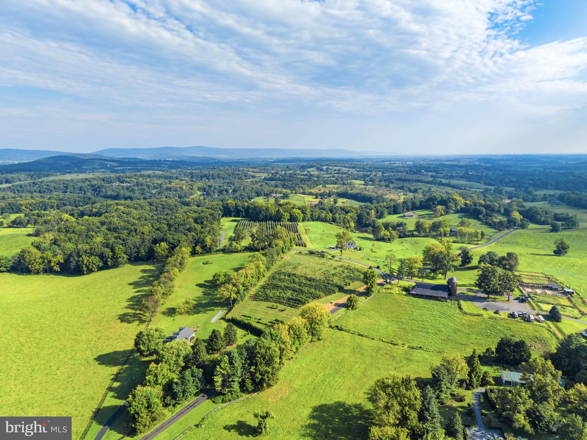 9470 Maidstone Road Delaplane, VA 20144 - Photo 78 of 80 Gallery Image 78