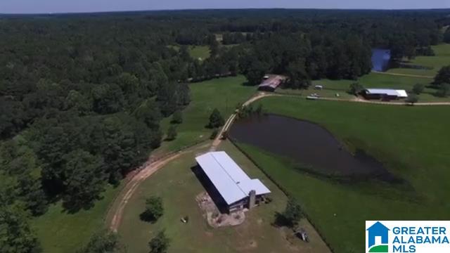 1854 Claud Fleahop Road, Unit 129 4 Eclectic, AL 36024 - Photo 24 of 50