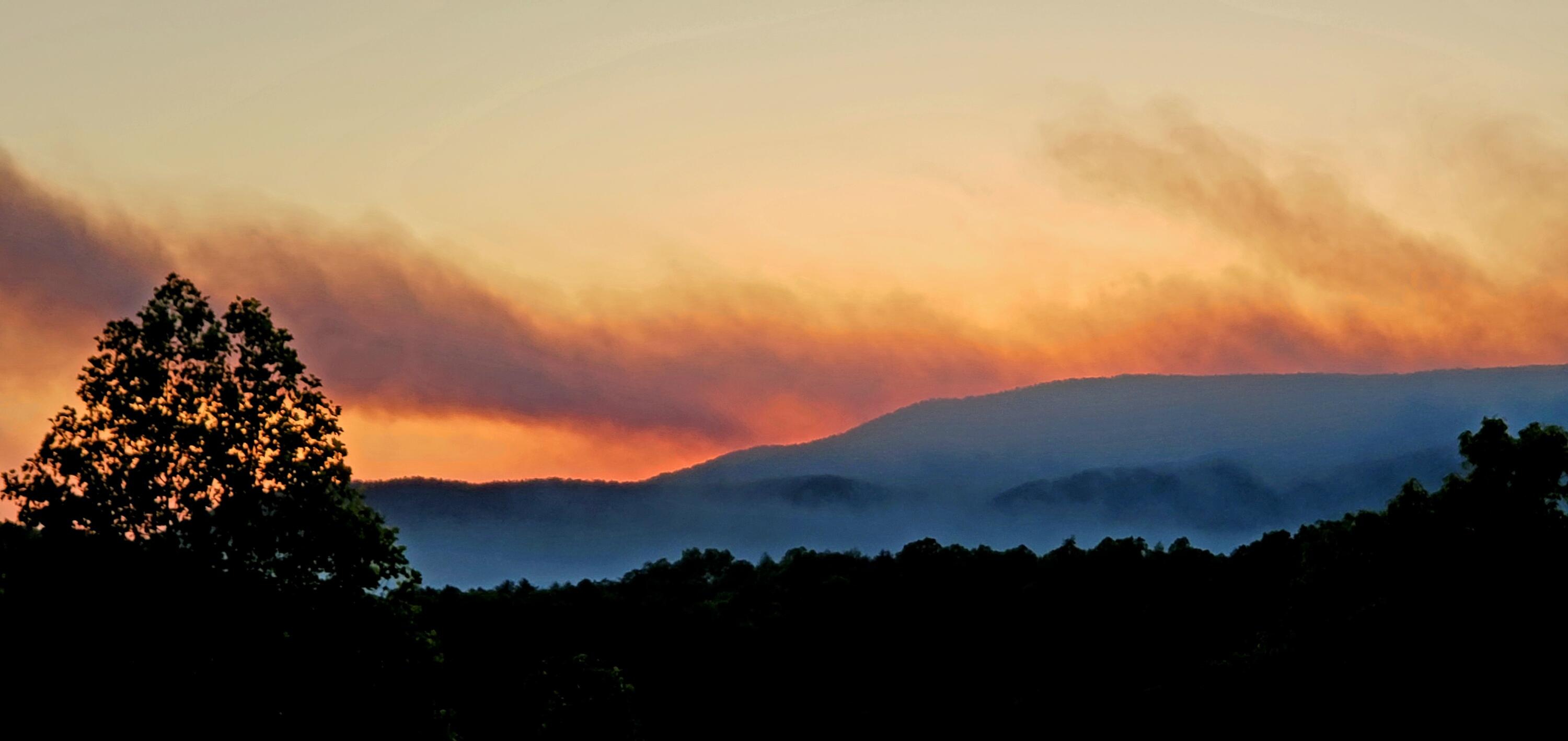 154 High Top Road Reliance, TN 37369 - Photo 103 of 104 20230424_202402
