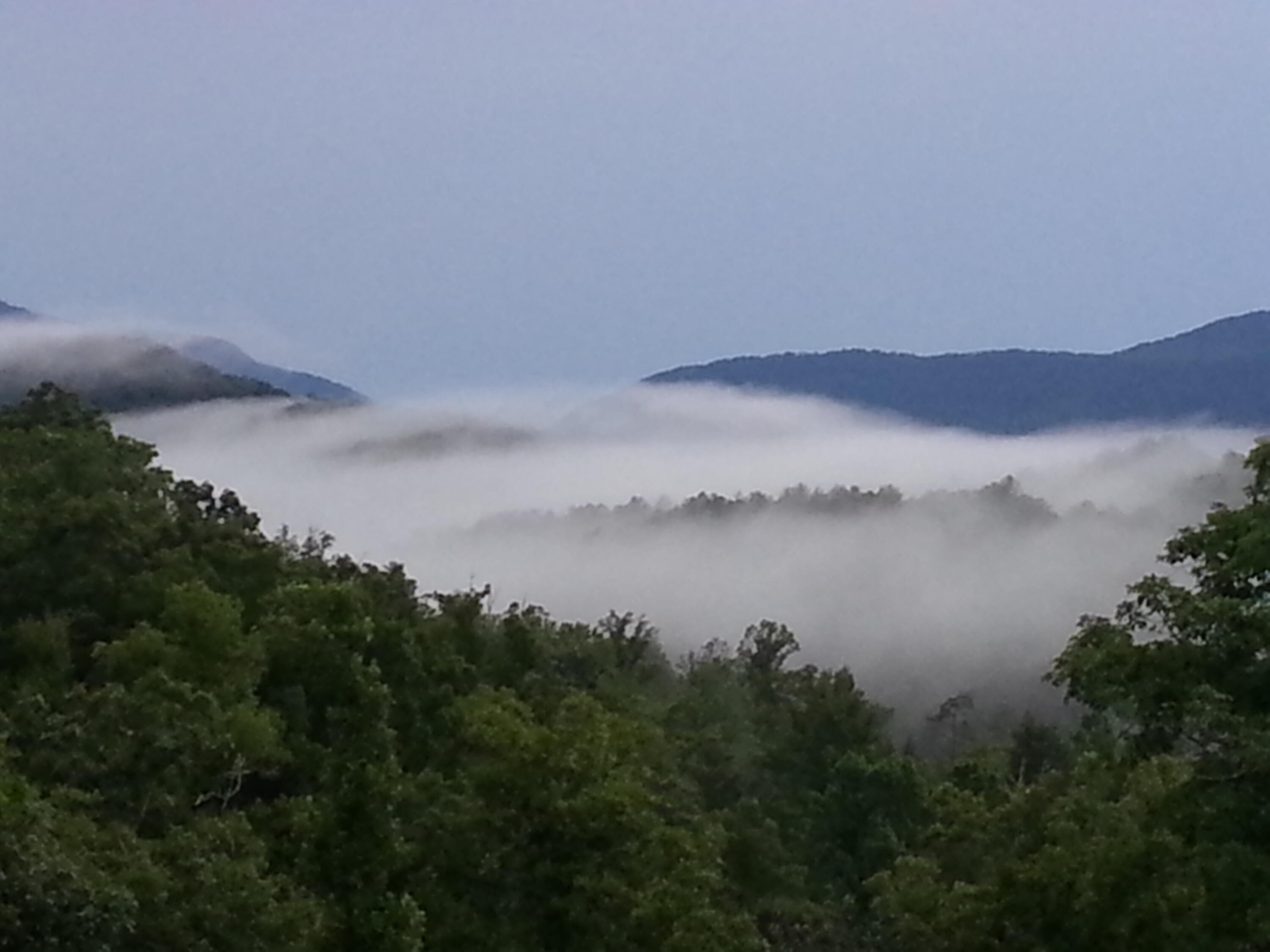 154 High Top Road Reliance, TN 37369 - Photo 104 of 104 20150704_203654