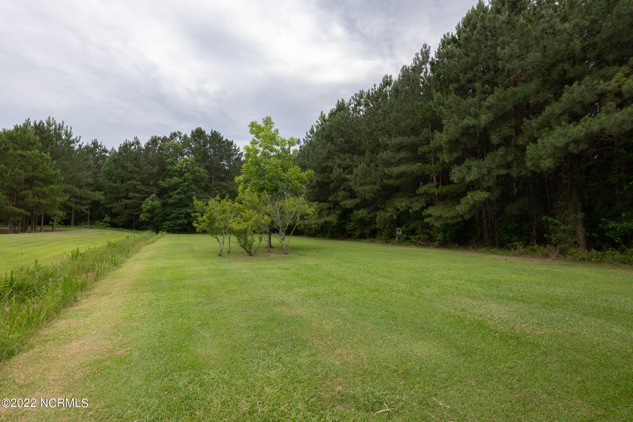 1729 Forlines Road Winterville, NC 28590 - Photo 76 of 100 1729FORLINES_ (77)