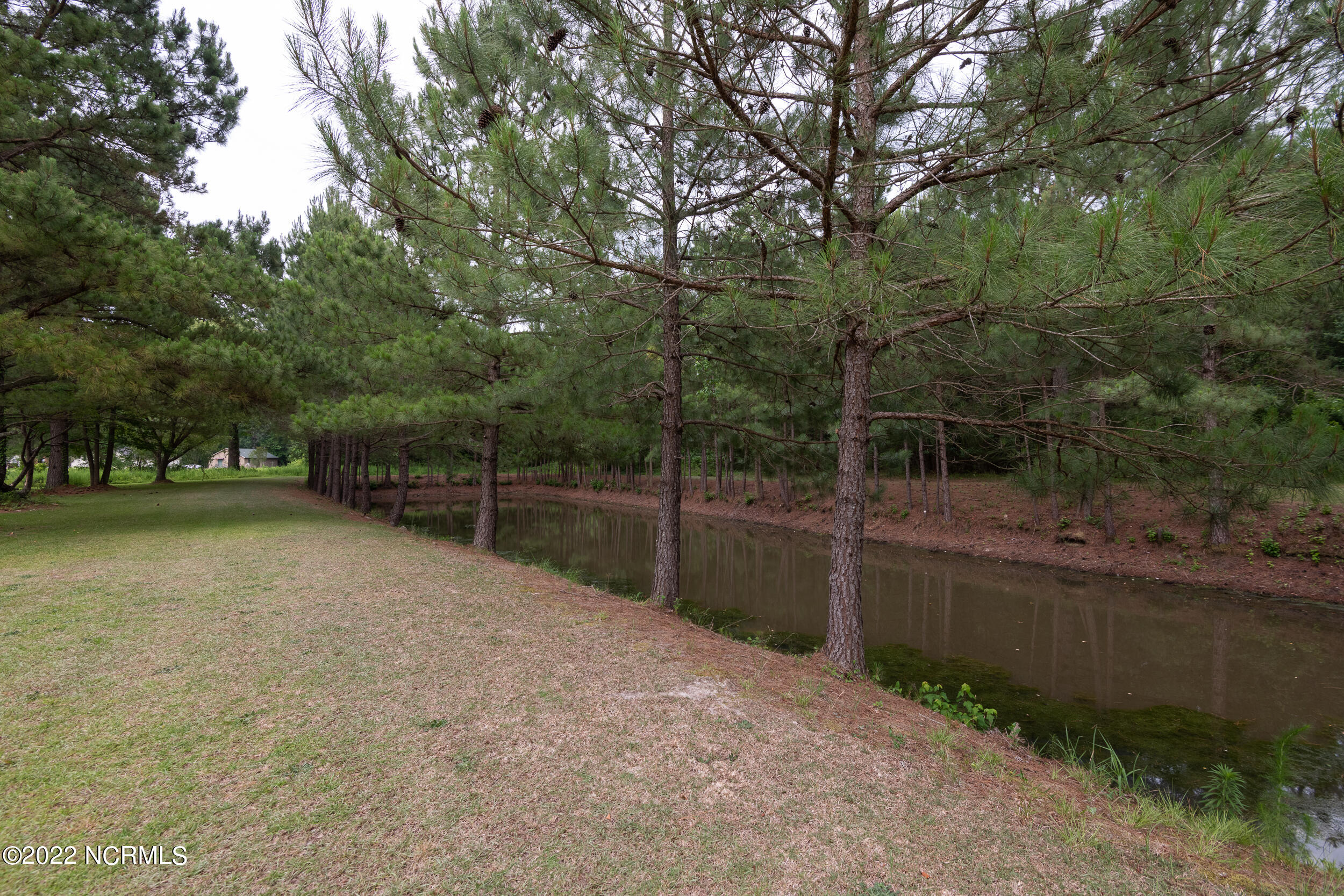 1729 Forlines Road Winterville, NC 28590 - Photo 82 of 100 1729FORLINES_ (83)
