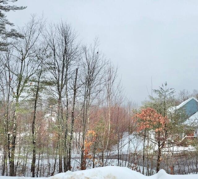 81 Mitchell Road Casco, ME 04015 - Photo 1 of 10 6