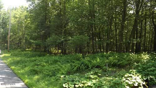 Lot 8 Ridge Road Hawley, PA 18428 - Photo 1 of 4