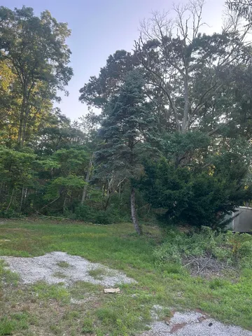 a view of a grassy field with trees in the background