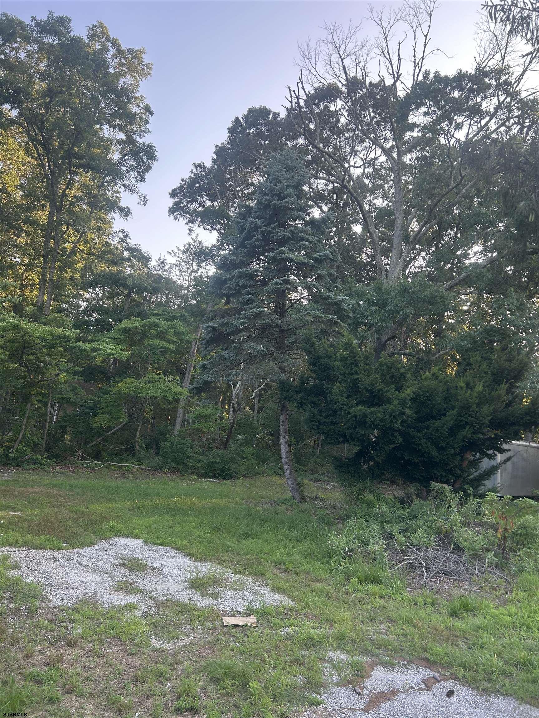 86 Highway 50 Ocean View, NJ 08230 - Photo 2 of 2 a view of a grassy field with trees in the background