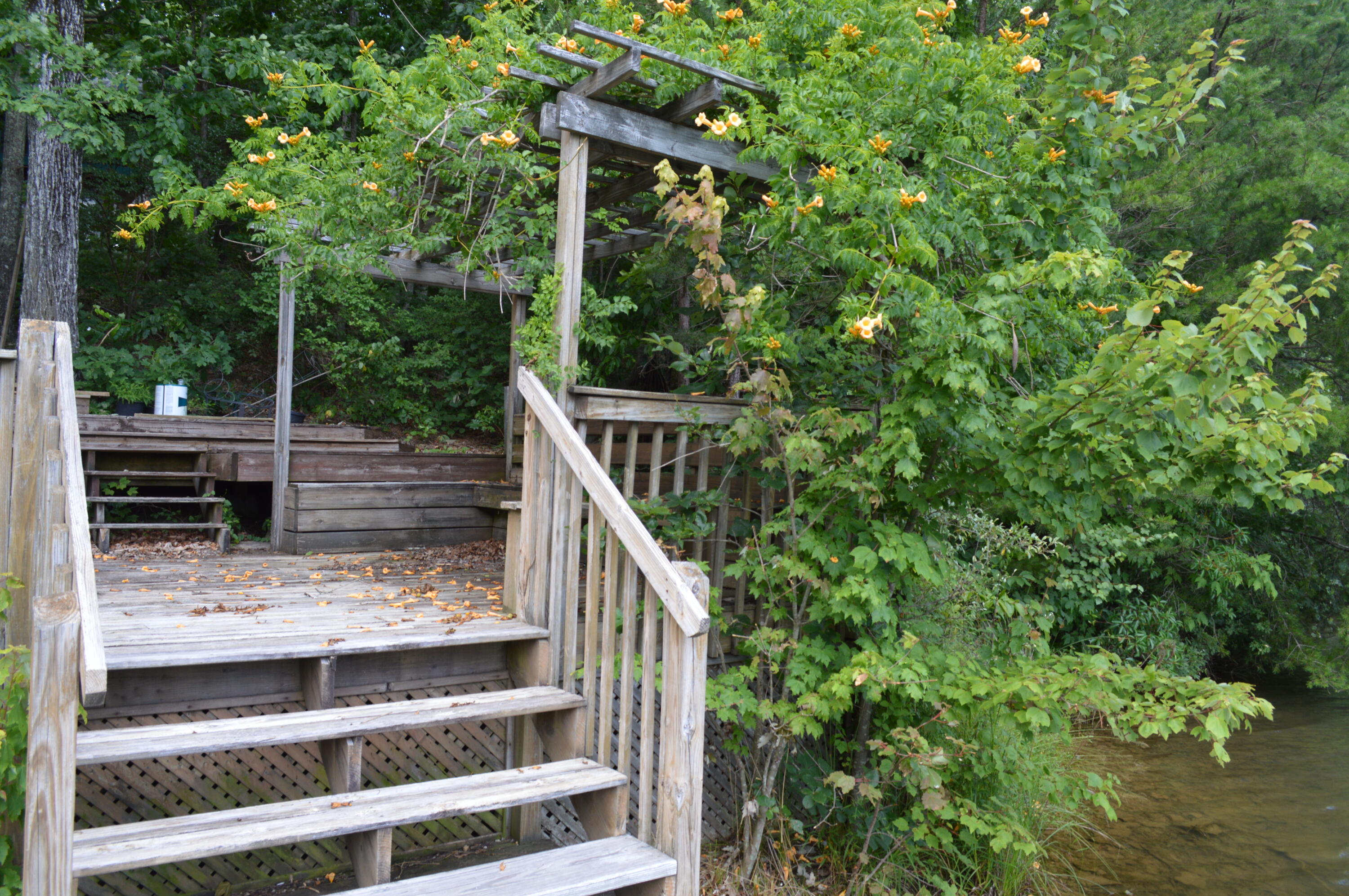 1071 Raven Cliff Road Graysville, TN 37338 - Photo 22 of 44 DSC_0024
