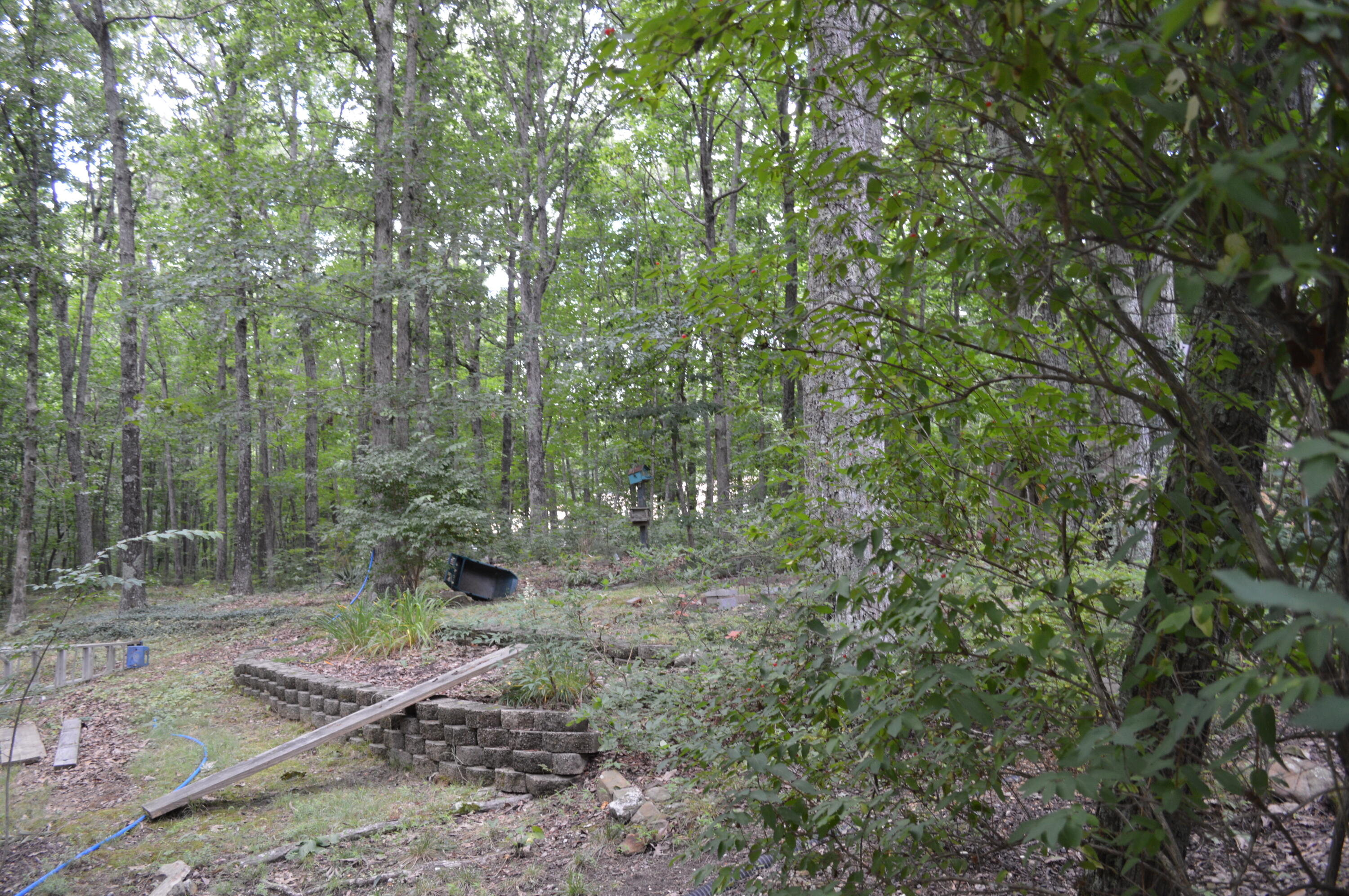 1071 Raven Cliff Road Graysville, TN 37338 - Photo 23 of 44 DSC_0026