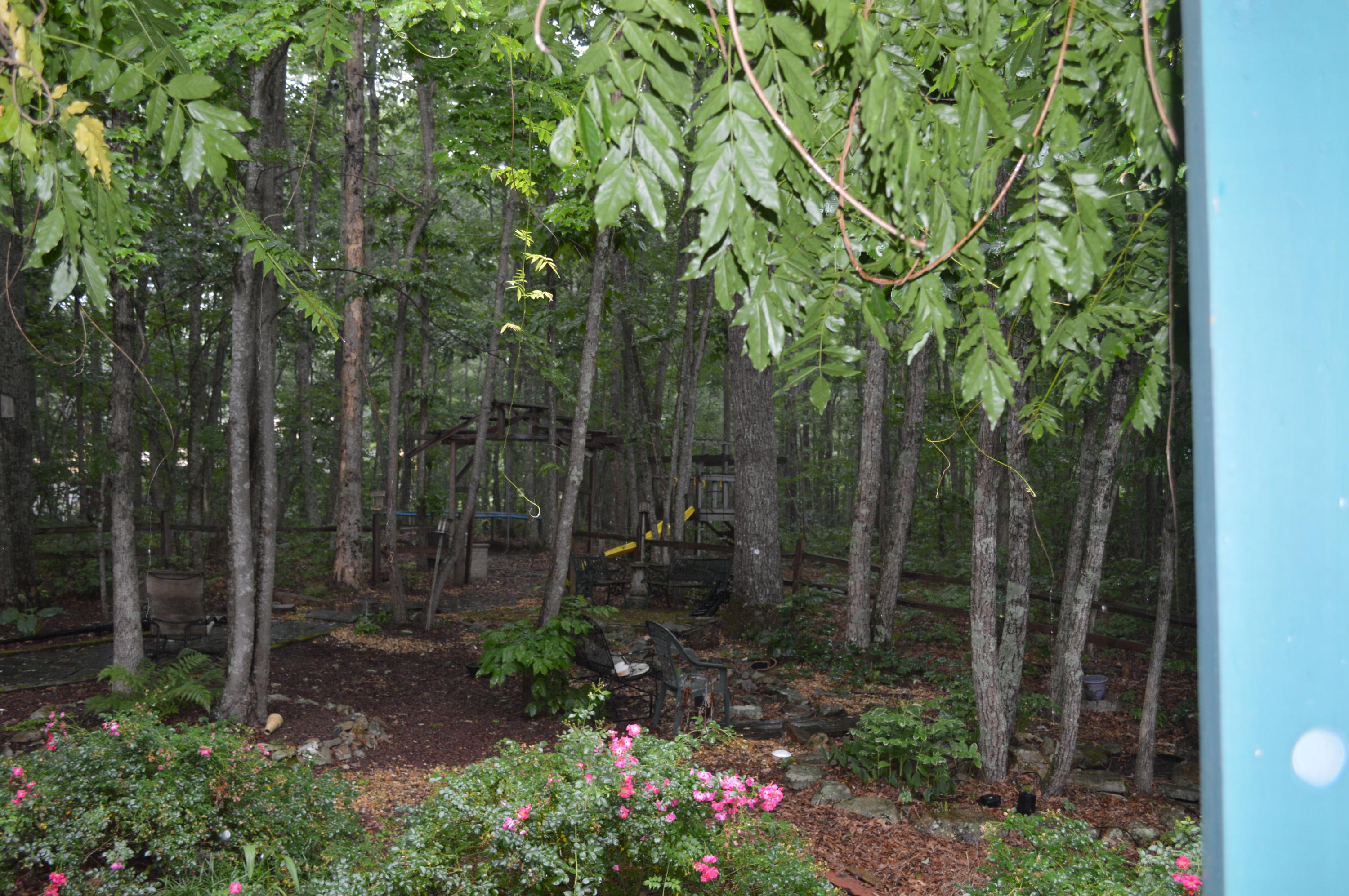 1071 Raven Cliff Road Graysville, TN 37338 - Photo 44 of 44 DSC_0061