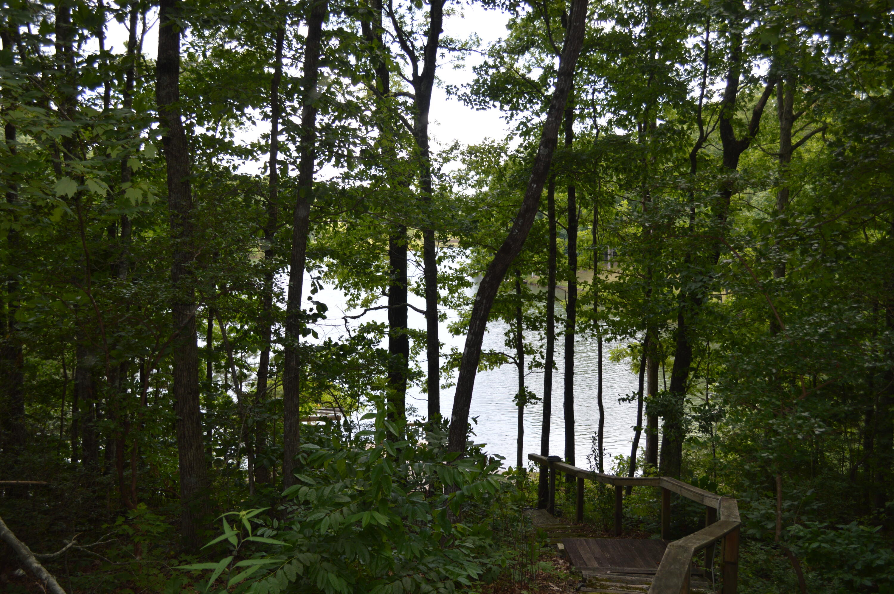 1071 Raven Cliff Road Graysville, TN 37338 - Photo 6 of 44 DSC_0019