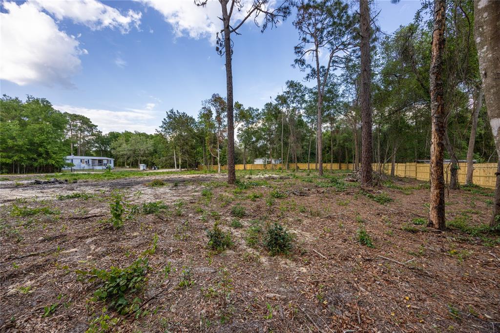 6397 Baylor Avenue Keystone Heights, FL 32656 - Photo 7 of 14