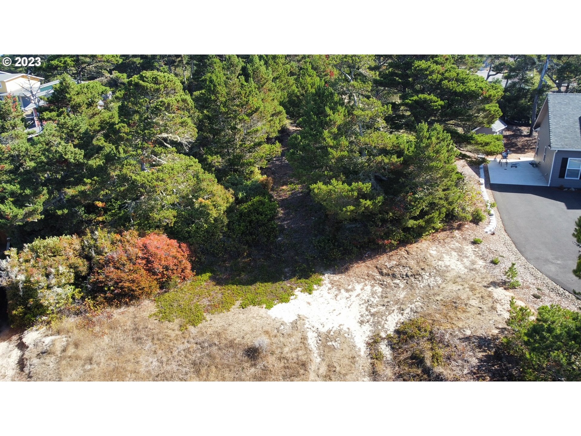 26 Coast Guard Road Florence, OR 97439 - Photo 6 of 39