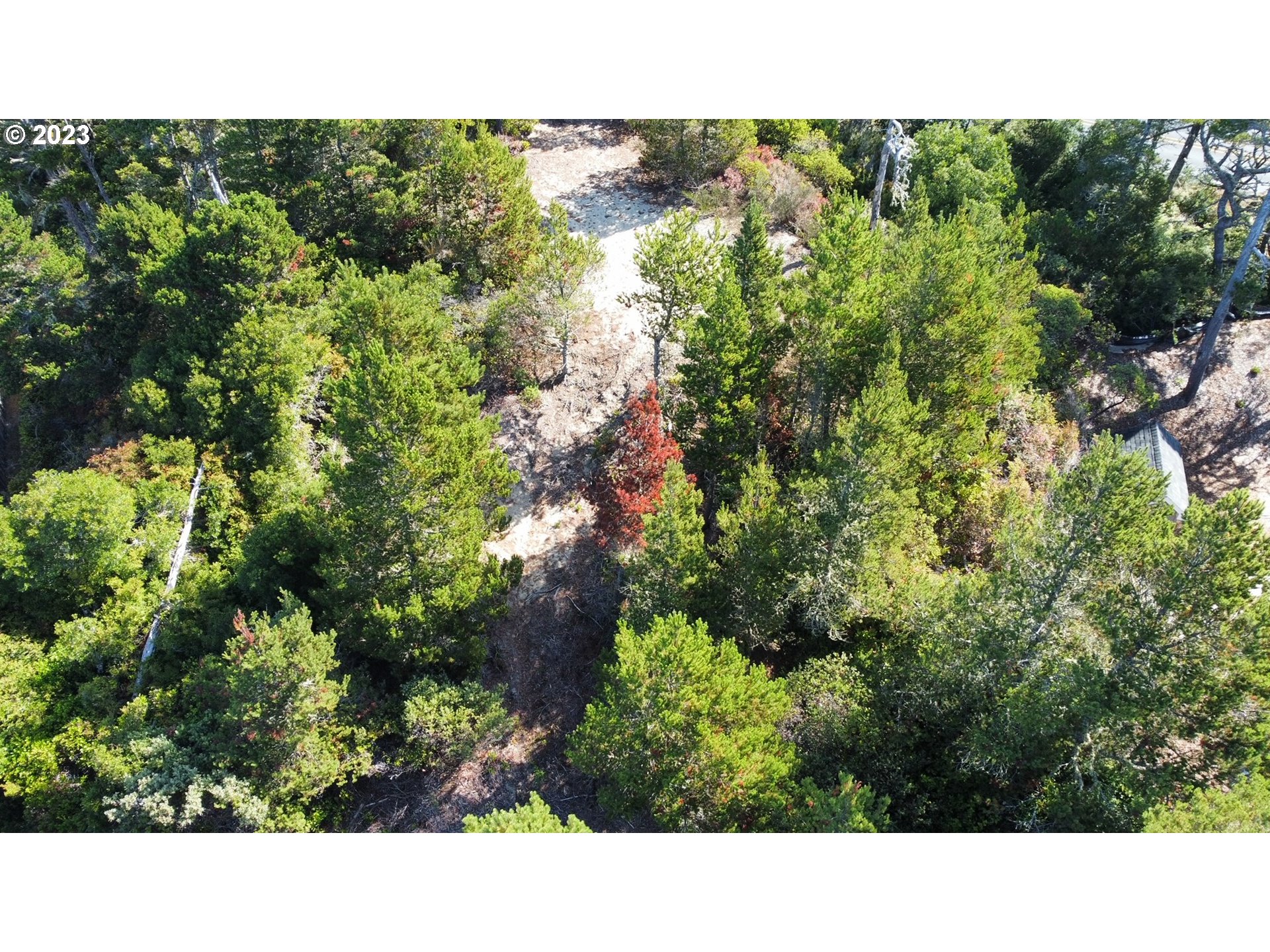 26 Coast Guard Road Florence, OR 97439 - Photo 7 of 39