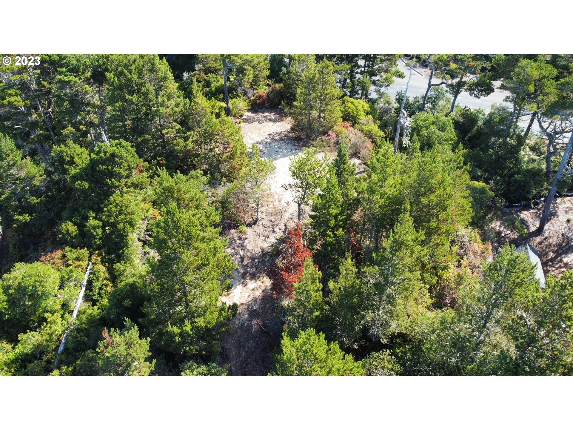 26 Coast Guard Road Florence, OR 97439 - Photo 8 of 39