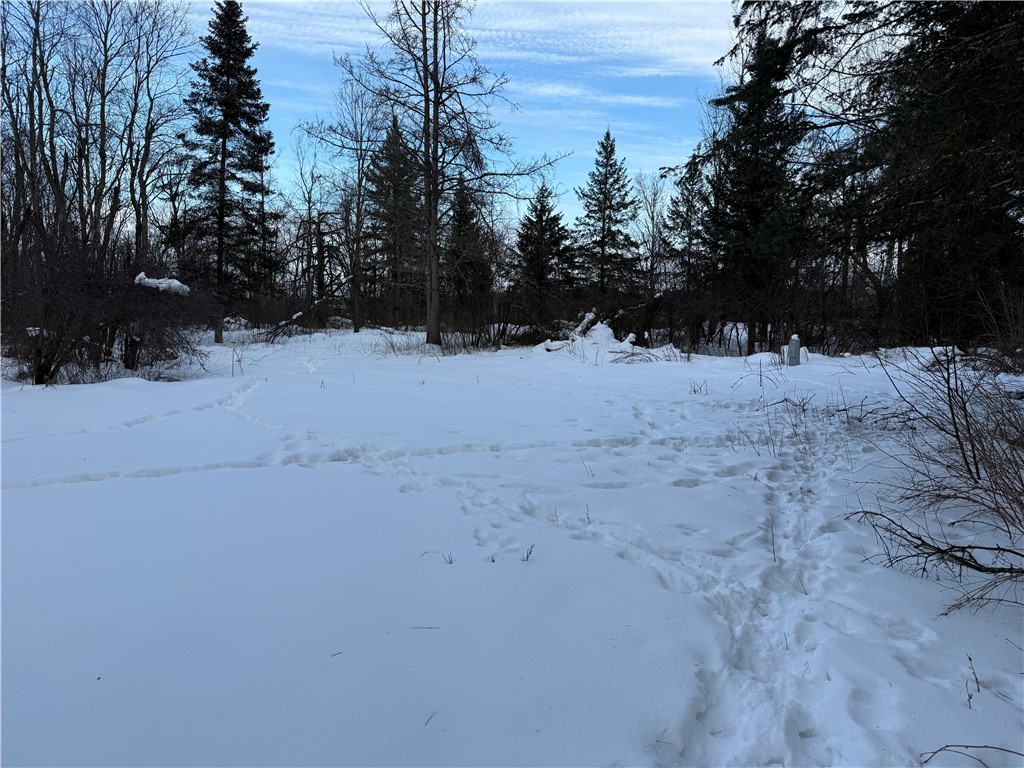 0 Winter Road Ladysmith, WI 54848 - Photo 7 of 13