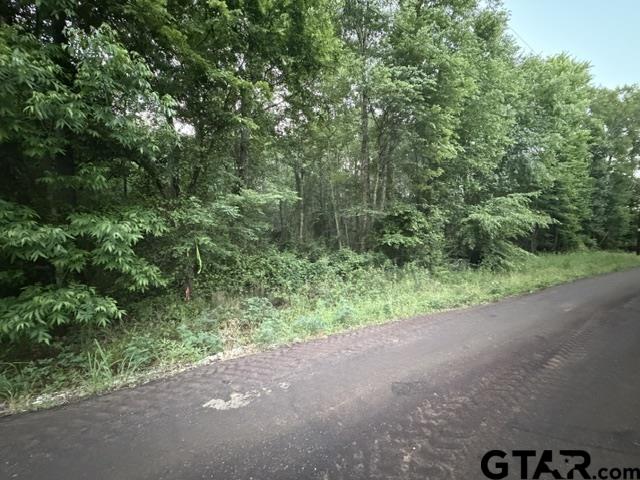 0 County Road 1204 Rusk, TX 75785 - Photo 26 of 32