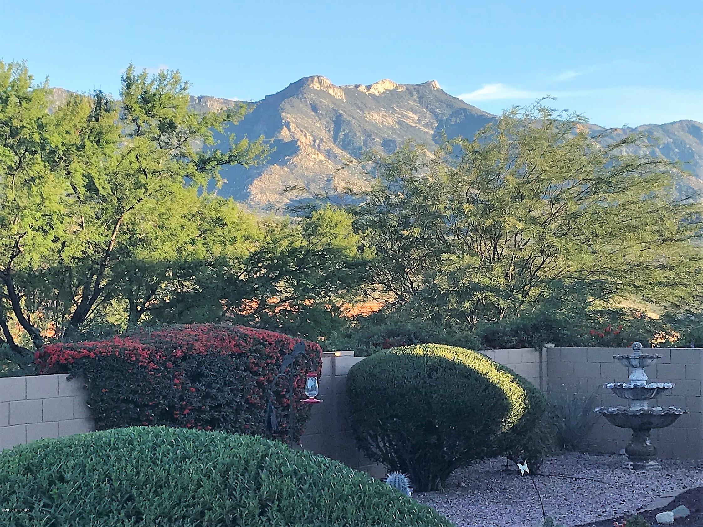 37305 South Ridgeview Boulevard Tucson, AZ 85739 - Photo 1 of 33