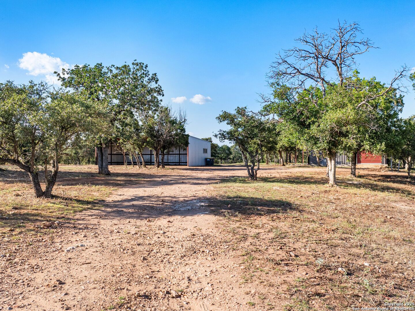 110 Moellering Road Fredericksburg, TX 78624 - Photo 17 of 20 a view of road yard with trees