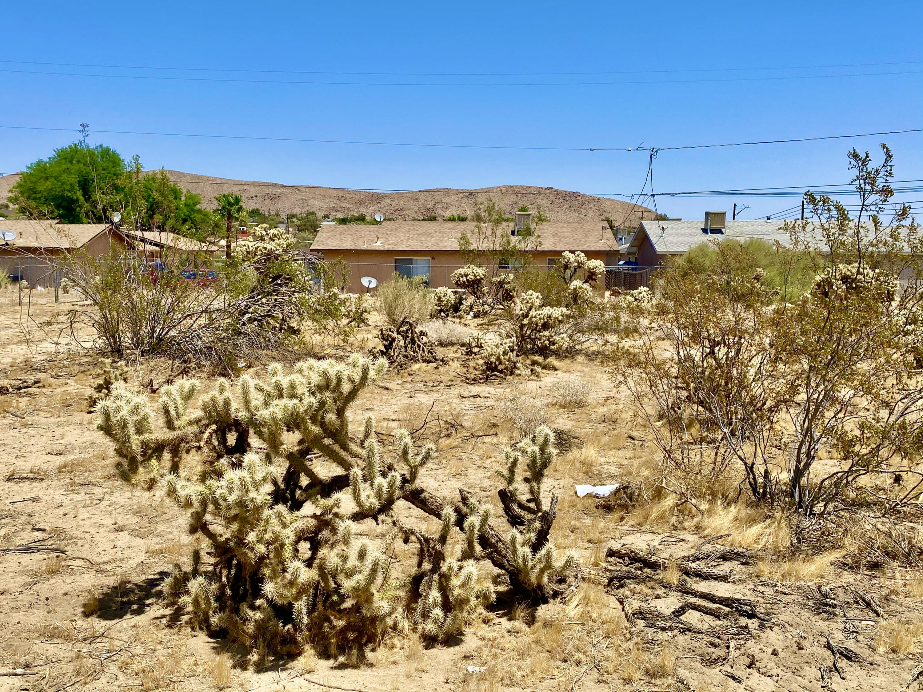210 Chollita Road Joshua Tree, CA 92252 - Photo 12 of 32