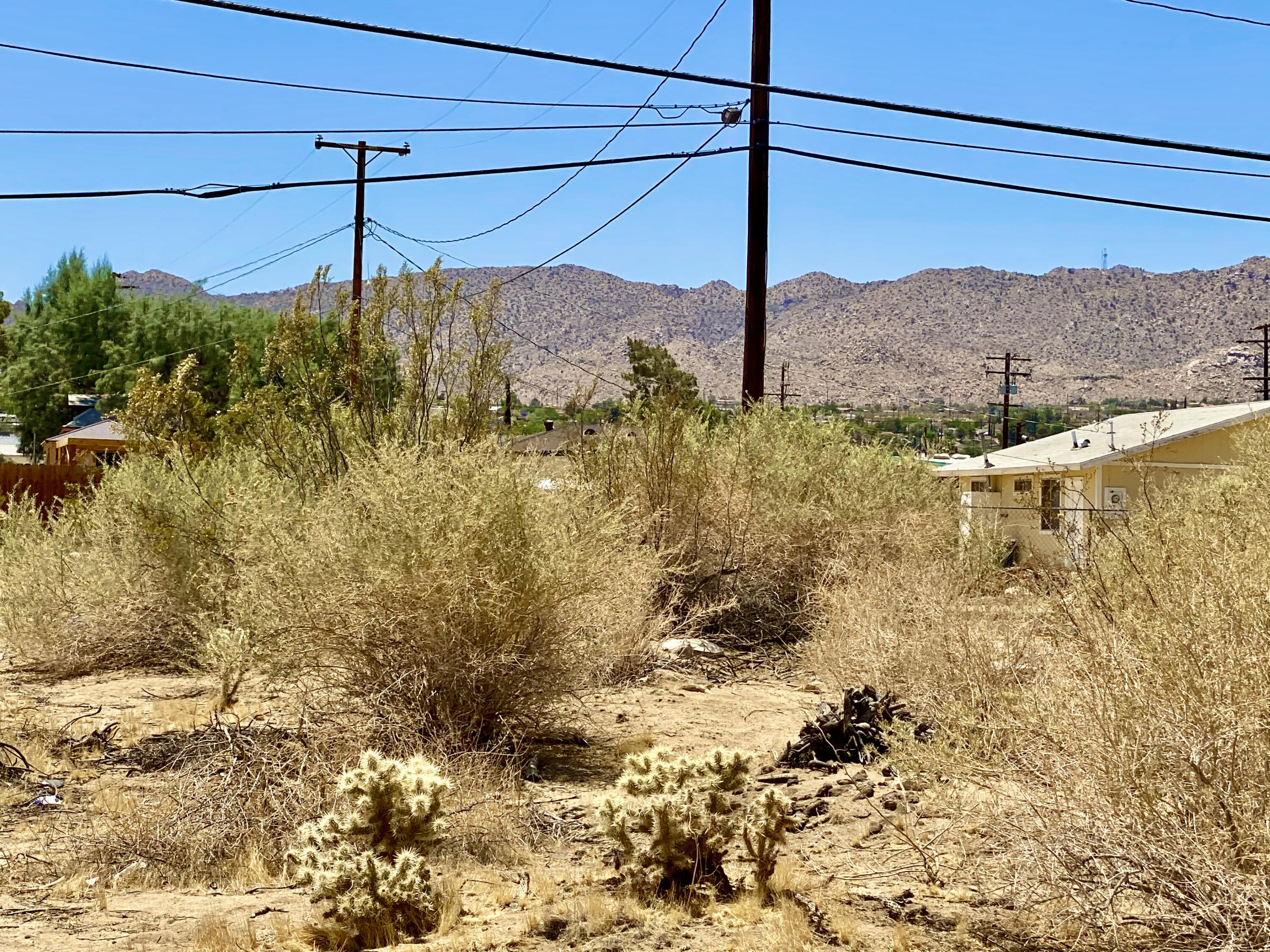 210 Chollita Road Joshua Tree, CA 92252 - Photo 13 of 32 a view of a yard