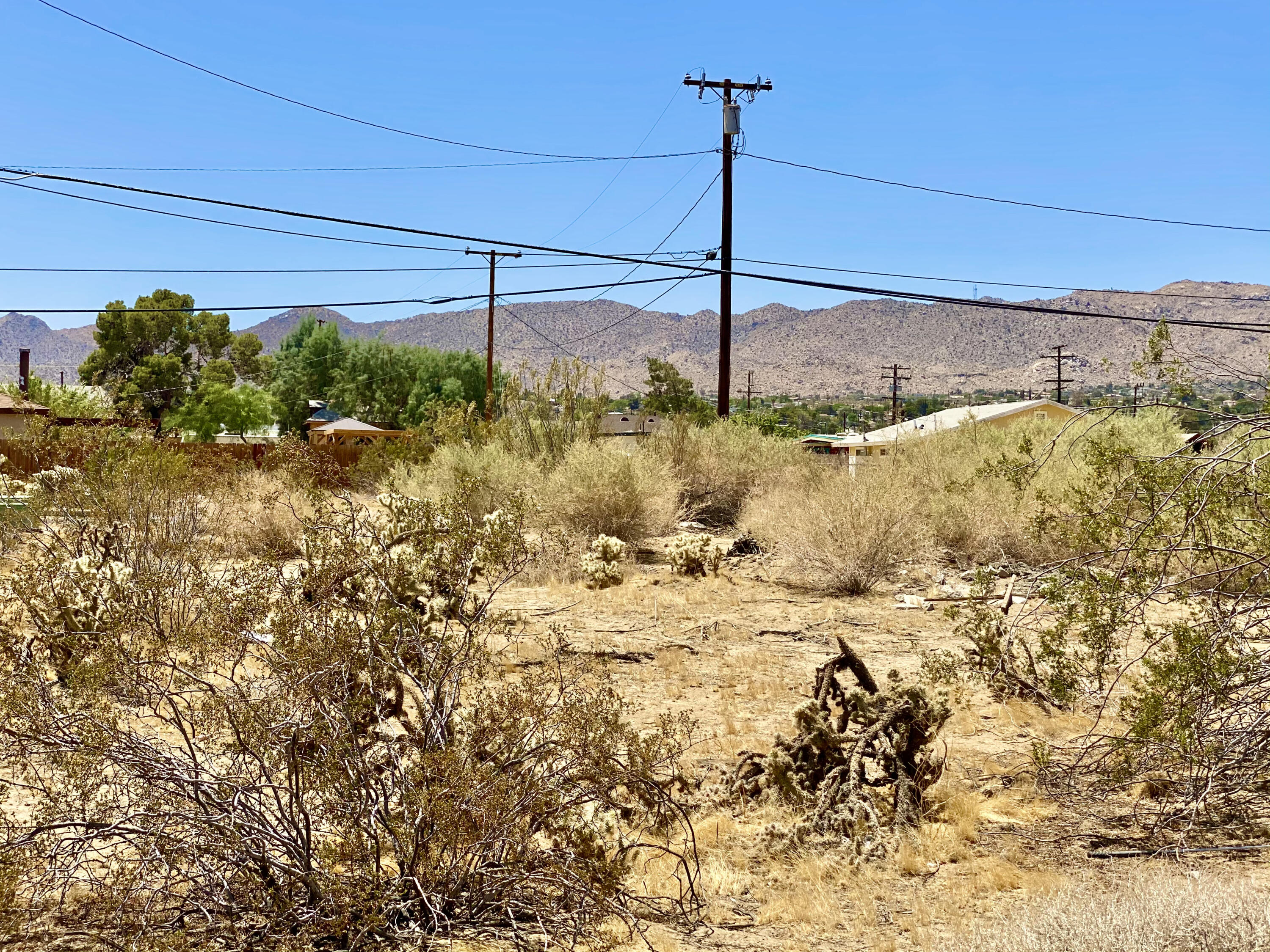 210 Chollita Road Joshua Tree, CA 92252 - Photo 14 of 32 a view of a yard