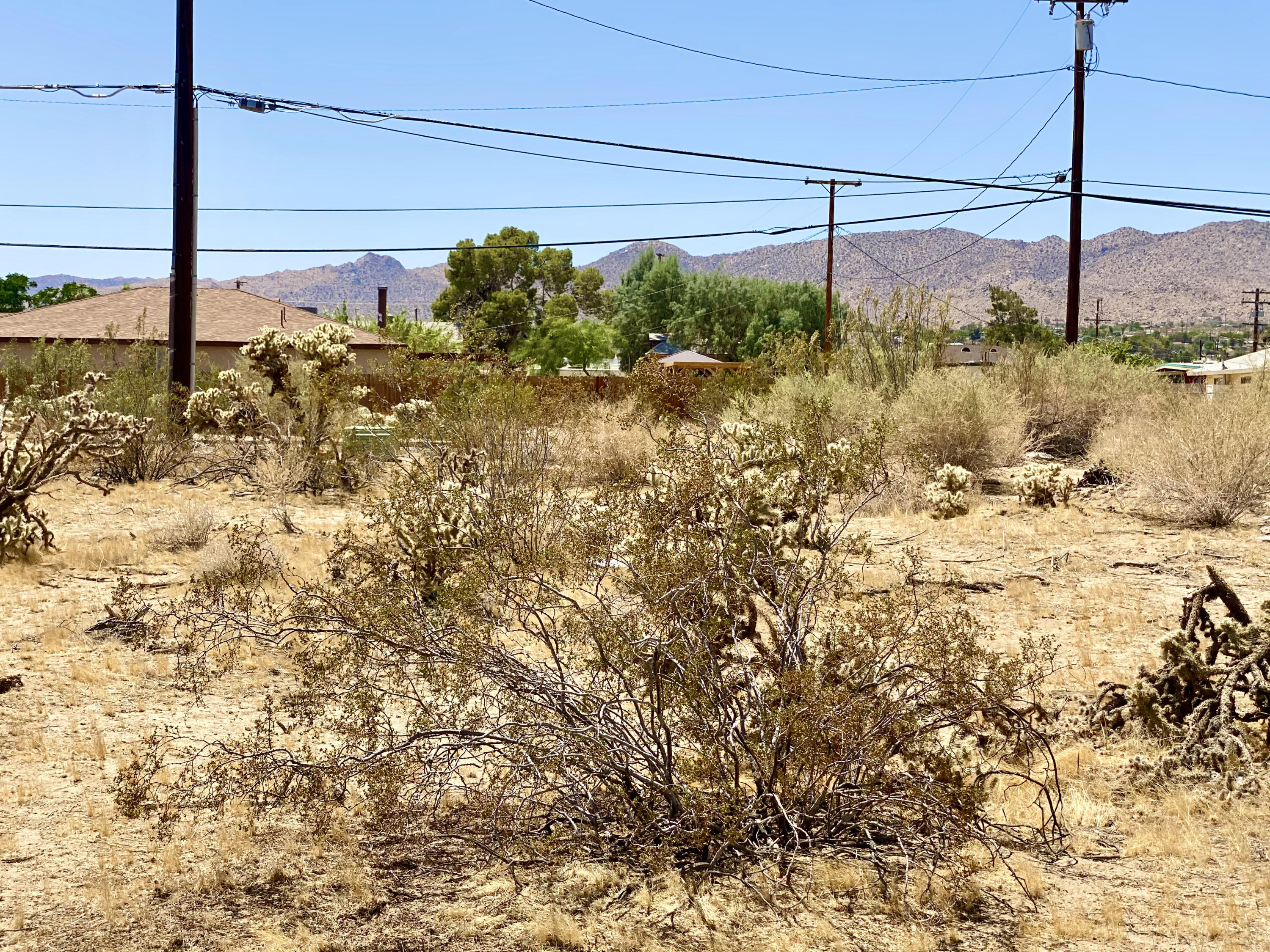 210 Chollita Road Joshua Tree, CA 92252 - Photo 15 of 32 a view of a backyard of a house